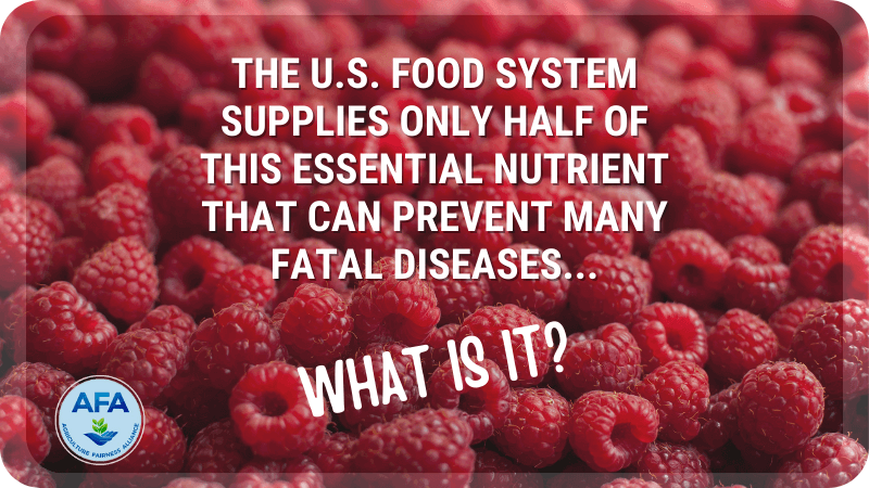 America’s Fiber Crisis: A Simple Solution for a Healthier You